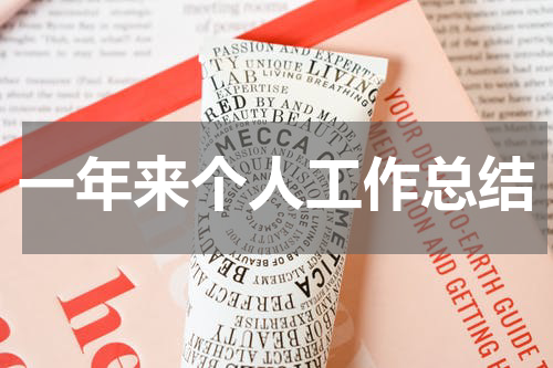 一年来个人工作总结