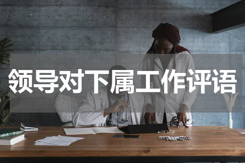 领导对下属工作评语