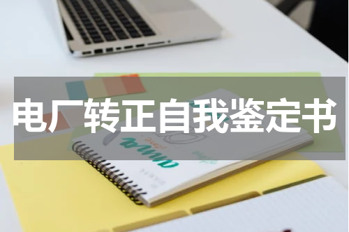 电厂转正自我鉴定书