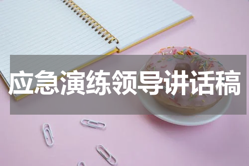 应急演练领导讲话稿