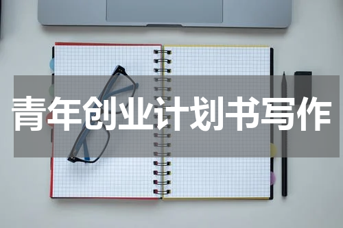 青年创业计划书写作