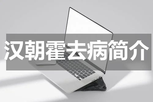 汉朝霍去病简介
