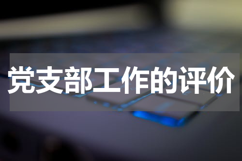 党支部工作的评价