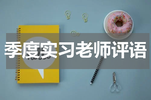 季度实习老师评语