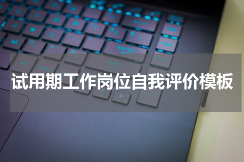 试用期工作岗位自我评价模板