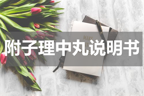 附子理中丸说明书