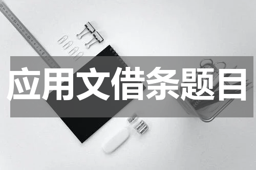 应用文借条题目