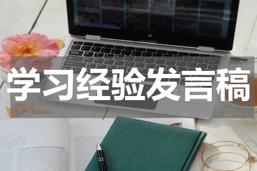 学习经验发言稿