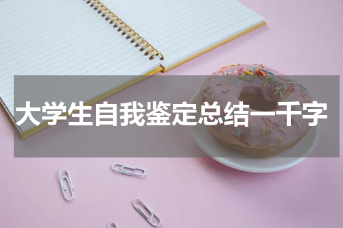 大学生自我鉴定总结一千字