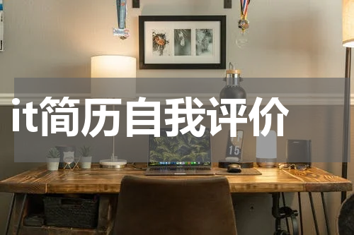 it简历自我评价
