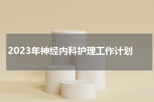 2023年神经内科护理工作计划