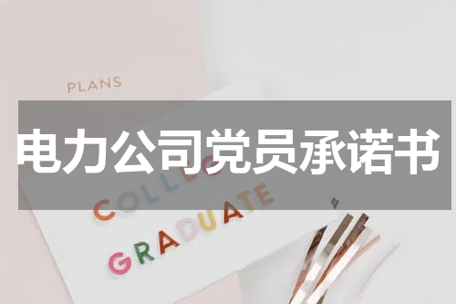 电力公司党员承诺书