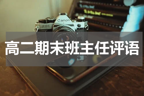 高二期末班主任评语