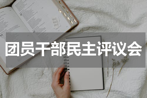 团员干部民主评议会