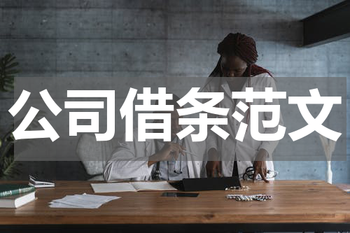 公司借条范文
