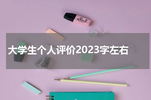 大学生个人评价2023字左右