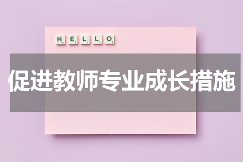 促进教师专业成长措施