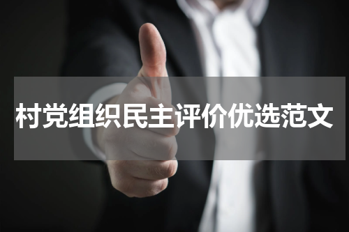村党组织民主评价优选范文