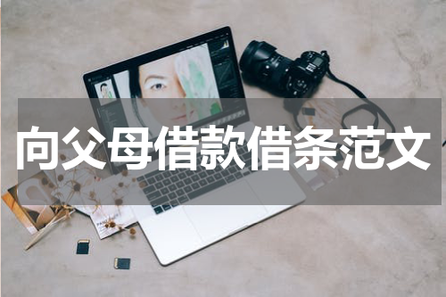向父母借款借条范文