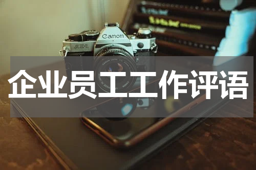 企业员工工作评语
