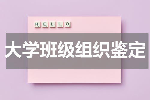 大学班级组织鉴定