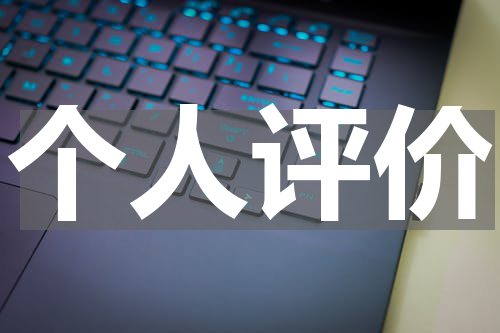 个人评价