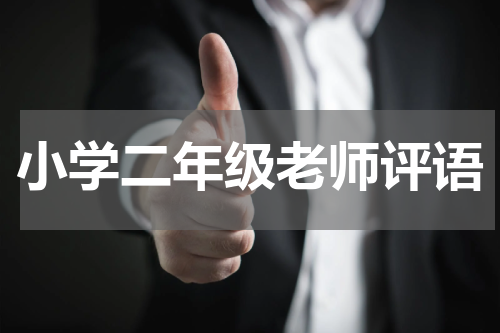 小学二年级老师评语