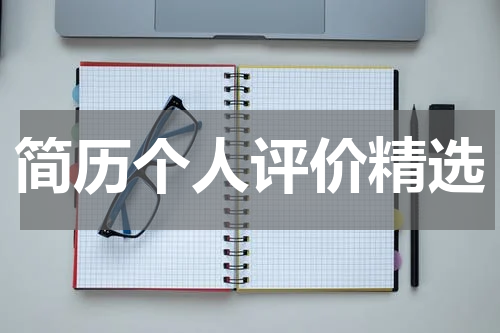 简历个人评价精选