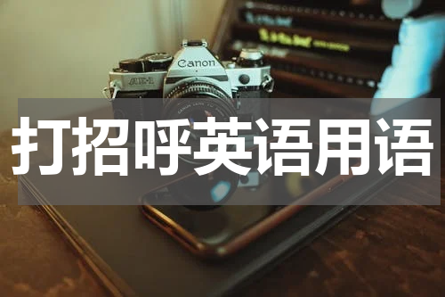 打招呼英语用语
