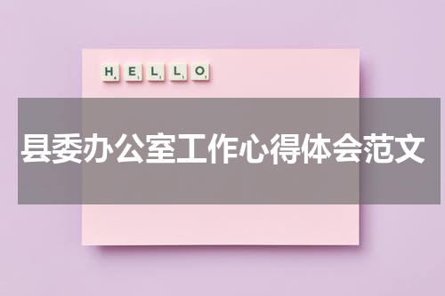 县委办公室工作心得体会范文