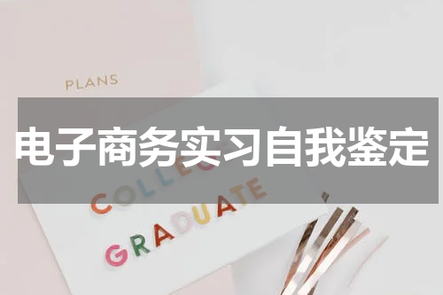 电子商务实习自我鉴定