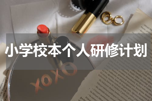 小学校本个人研修计划