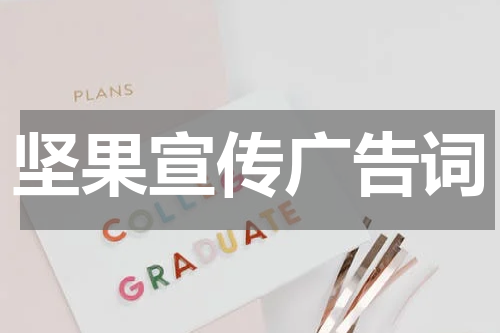 坚果宣传广告词