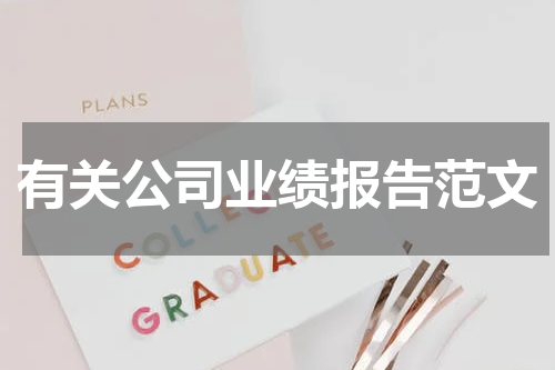 有关公司业绩报告范文