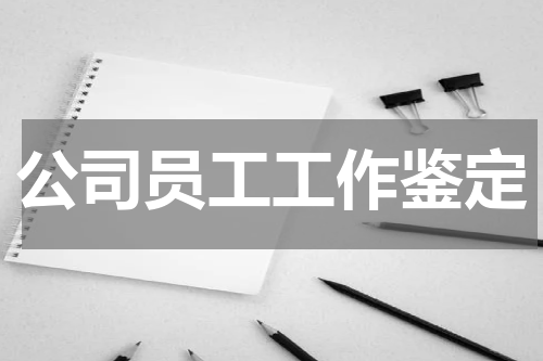 公司员工工作鉴定
