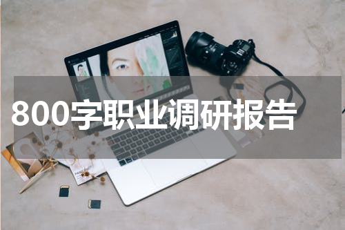 800字职业调研报告