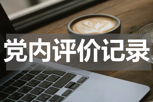 党内评价记录