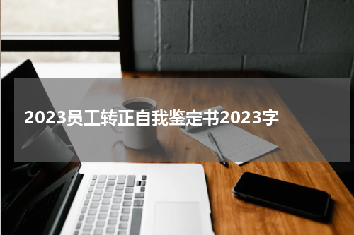 2023员工转正自我鉴定书2023字