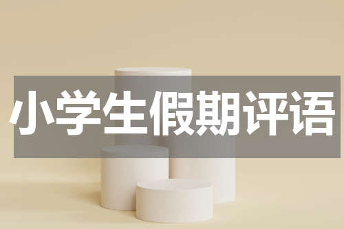 小学生假期评语