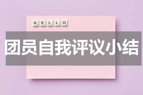 团员自我评议小结