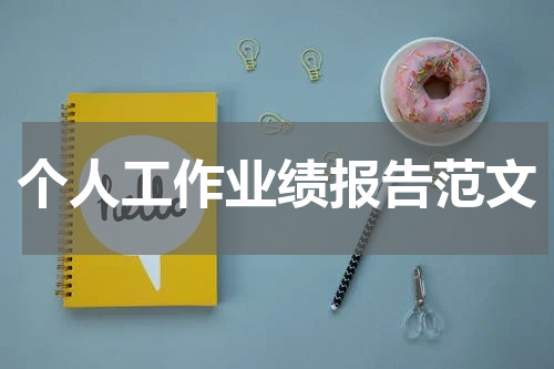 个人工作业绩报告范文