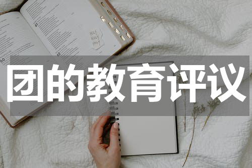团的教育评议