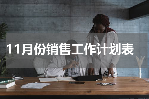 11月份销售工作计划表