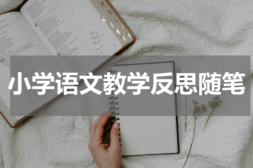 小学语文教学反思随笔