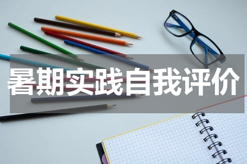 暑期实践自我评价