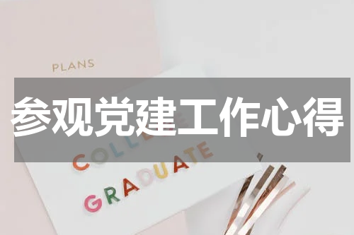 参观党建工作心得