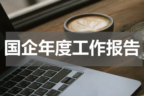 国企年度工作报告