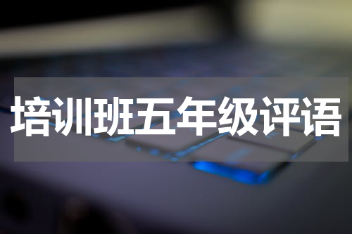 培训班五年级评语