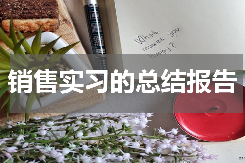 销售实习的总结报告