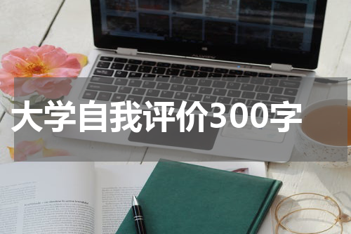大学自我评价300字